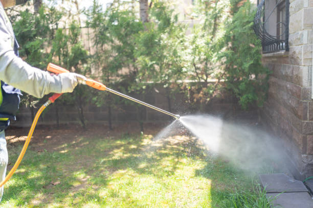 Seasonal Pest Control (e.g., summer mosquitoes, winter rodents) in Princeton, KY